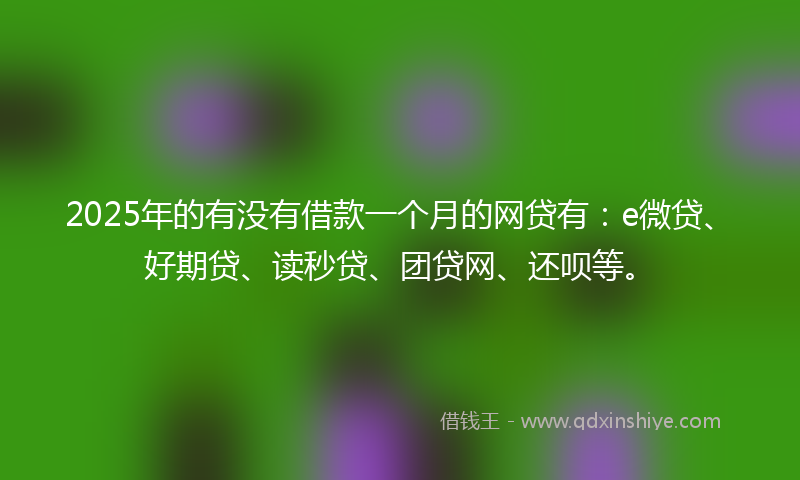 2025年的有没有借款一个月的网贷有：e微贷、好期贷、读秒贷、团贷网、还呗等。