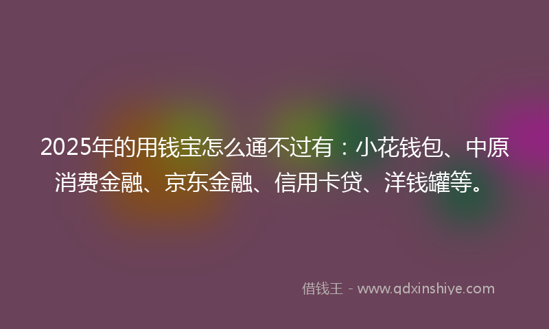 2025年的用钱宝怎么通不过有：小花钱包、中原消费金融、京东金融、信用卡贷、洋钱罐等。