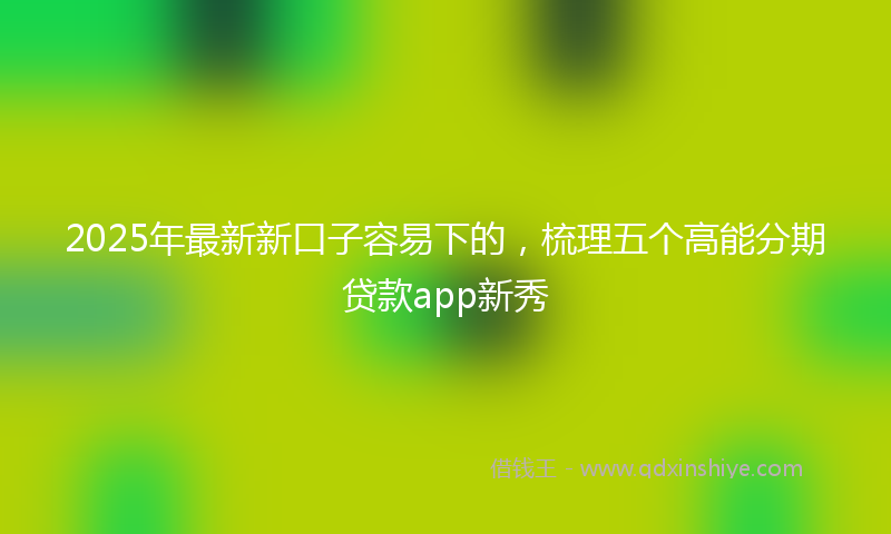 2025年最新新口子容易下的，梳理五个高能分期贷款app新秀