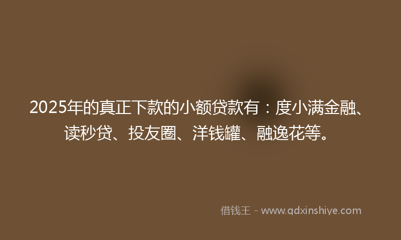2025年的真正下款的小额贷款有：度小满金融、读秒贷、投友圈、洋钱罐、融逸花等。