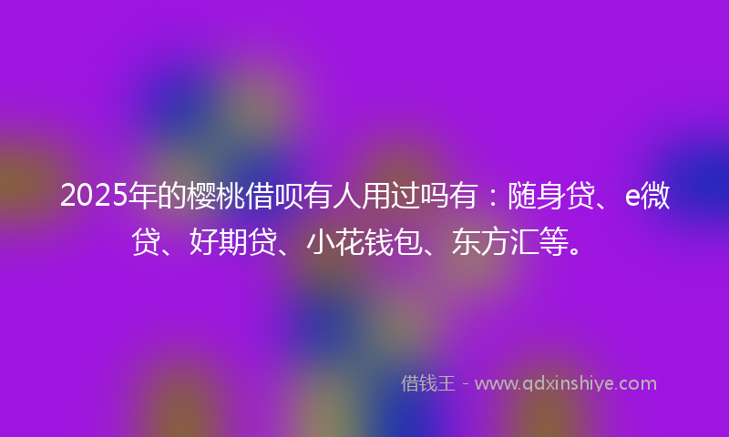 2025年的樱桃借呗有人用过吗有：随身贷、e微贷、好期贷、小花钱包、东方汇等。