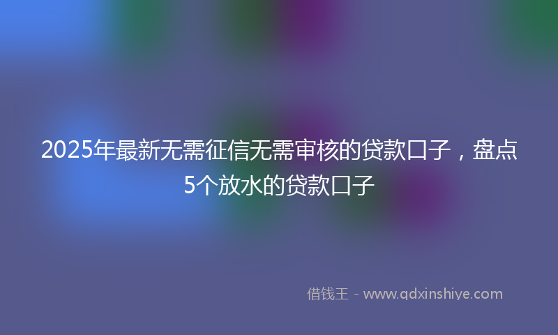 2025年最新无需征信无需审核的贷款口子，盘点5个放水的贷款口子