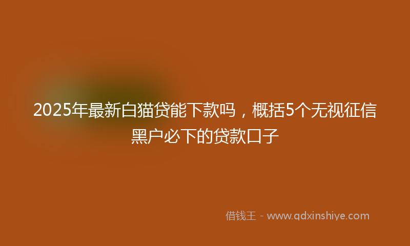 2025年最新白猫贷能下款吗，概括5个无视征信黑户必下的贷款口子