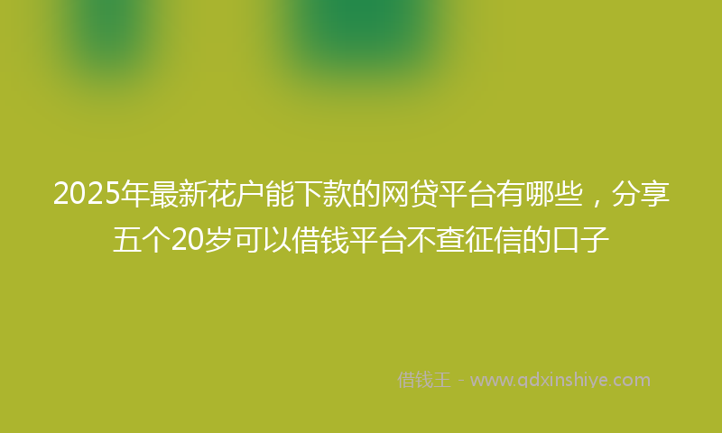 2025年最新花户能下款的网贷平台有哪些，分享五个20岁可以借钱平台不查征信的口子