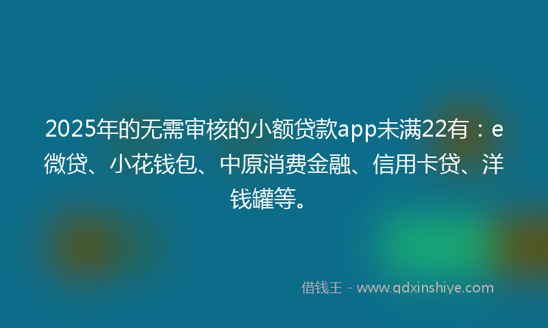 2025年的无需审核的小额贷款app未满22有：e微贷、小花钱包、中原消费金融、信用卡贷、洋钱罐等。