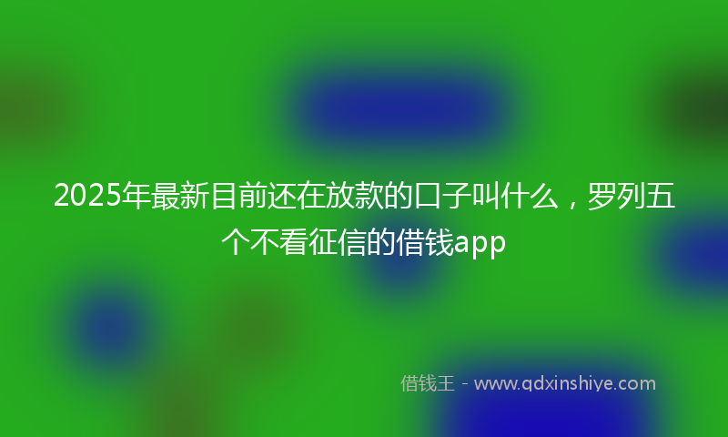 2025年最新目前还在放款的口子叫什么，罗列五个不看征信的借钱app