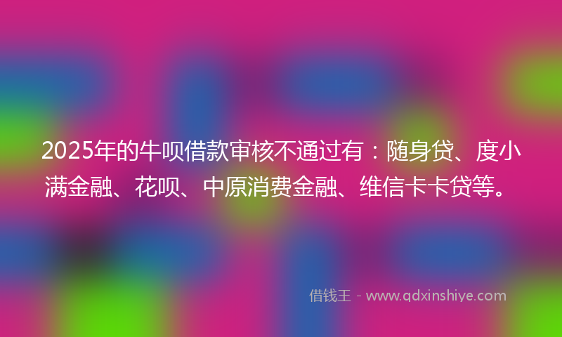 2025年的牛呗借款审核不通过有：随身贷、度小满金融、花呗、中原消费金融、维信卡卡贷等。