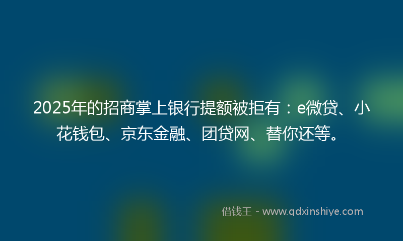2025年的招商掌上银行提额被拒有：e微贷、小花钱包、京东金融、团贷网、替你还等。