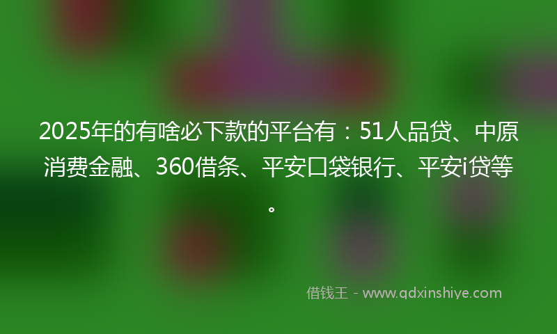 2025年的有啥必下款的平台有：51人品贷、中原消费金融、360借条、平安口袋银行、平安i贷等。