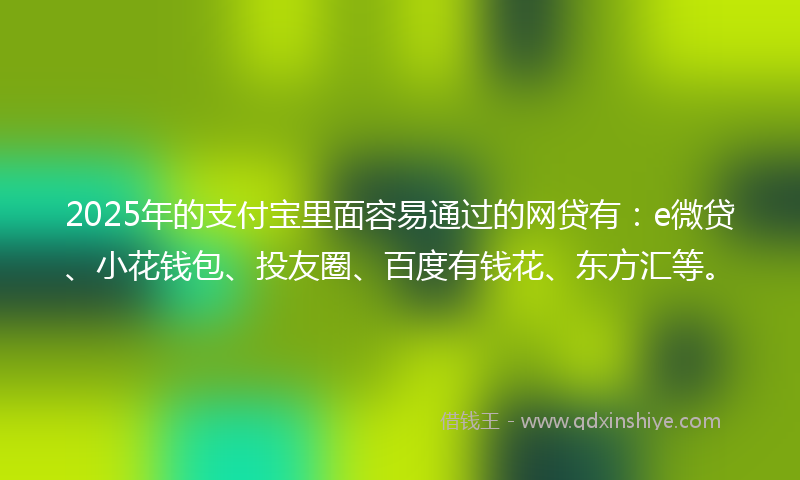 2025年的支付宝里面容易通过的网贷有：e微贷、小花钱包、投友圈、百度有钱花、东方汇等。