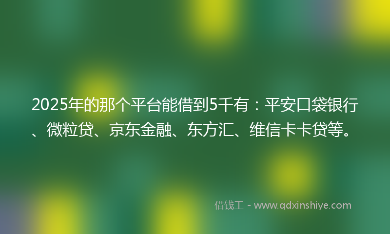 2025年的那个平台能借到5千有：平安口袋银行、微粒贷、京东金融、东方汇、维信卡卡贷等。