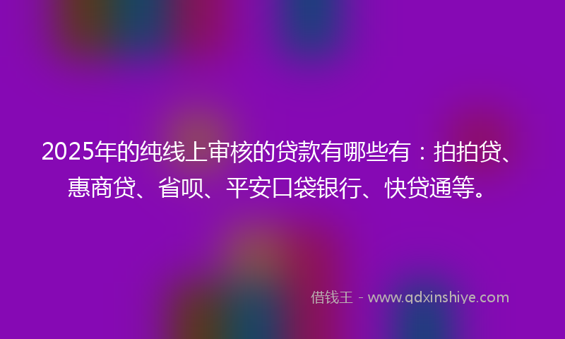 2025年的纯线上审核的贷款有哪些有：拍拍贷、惠商贷、省呗、平安口袋银行、快贷通等。