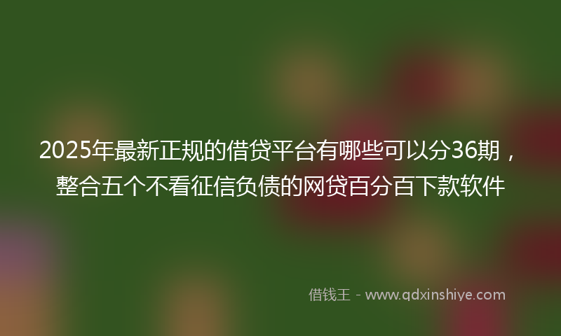 2025年最新正规的借贷平台有哪些可以分36期，整合五个不看征信负债的网贷百分百下款软件