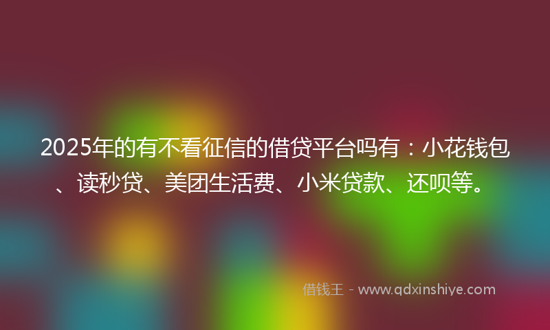 2025年的有不看征信的借贷平台吗有：小花钱包、读秒贷、美团生活费、小米贷款、还呗等。