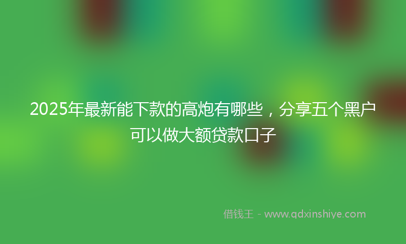 2025年最新能下款的高炮有哪些，分享五个黑户可以做大额贷款口子