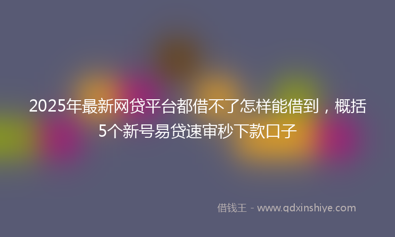 2025年最新网贷平台都借不了怎样能借到，概括5个新号易贷速审秒下款口子