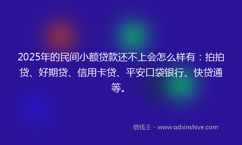 2025年的民间小额贷款还不上会怎么样有：拍拍贷、好期贷、信用卡贷、平安口袋银行、快贷通等。