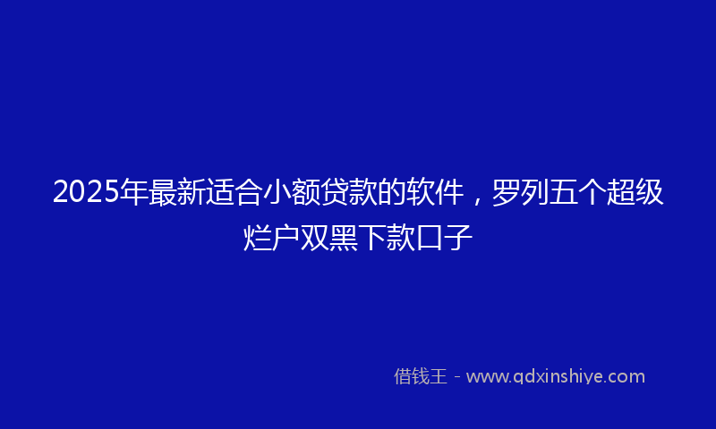 2025年最新适合小额贷款的软件，罗列五个超级烂户双黑下款口子