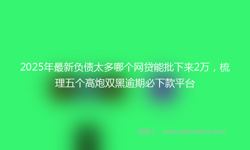 2025年最新负债太多哪个网贷能批下来2万，梳理五个高炮双黑逾期必下款平台