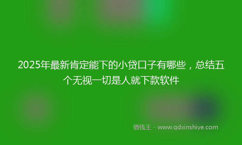 2025年最新肯定能下的小贷口子有哪些，总结五个无视一切是人就下款软件