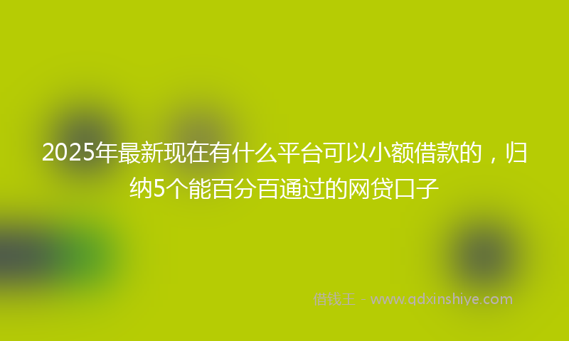 2025年最新现在有什么平台可以小额借款的，归纳5个能百分百通过的网贷口子