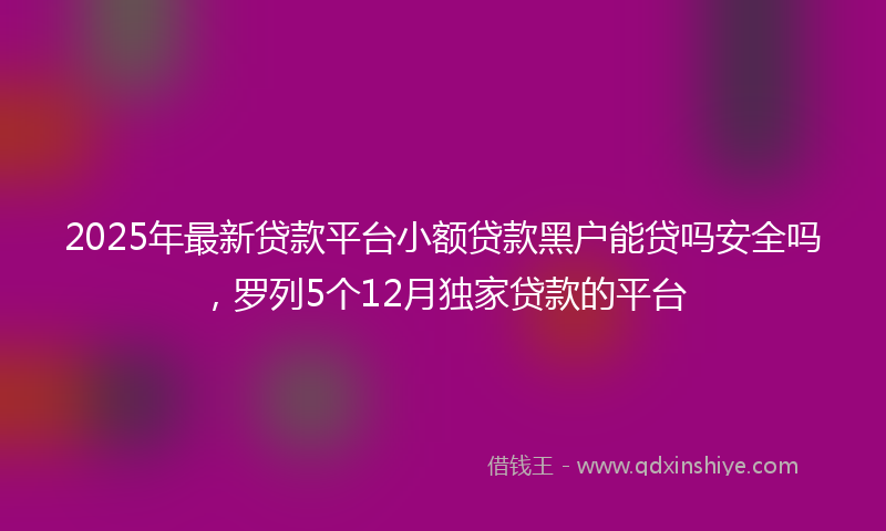 2025年最新贷款平台小额贷款黑户能贷吗安全吗，罗列5个12月独家贷款的平台
