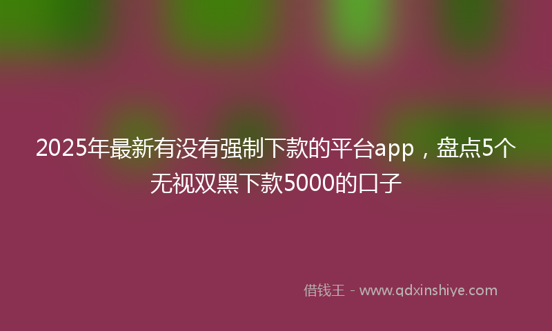 2025年最新有没有强制下款的平台app，盘点5个无视双黑下款5000的口子