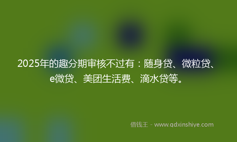 2025年的趣分期审核不过有：随身贷、微粒贷、e微贷、美团生活费、滴水贷等。