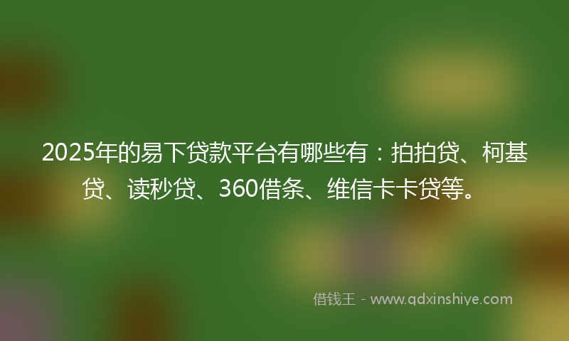2025年的易下贷款平台有哪些有：拍拍贷、柯基贷、读秒贷、360借条、维信卡卡贷等。