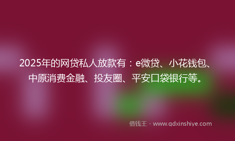 2025年的网贷私人放款有：e微贷、小花钱包、中原消费金融、投友圈、平安口袋银行等。
