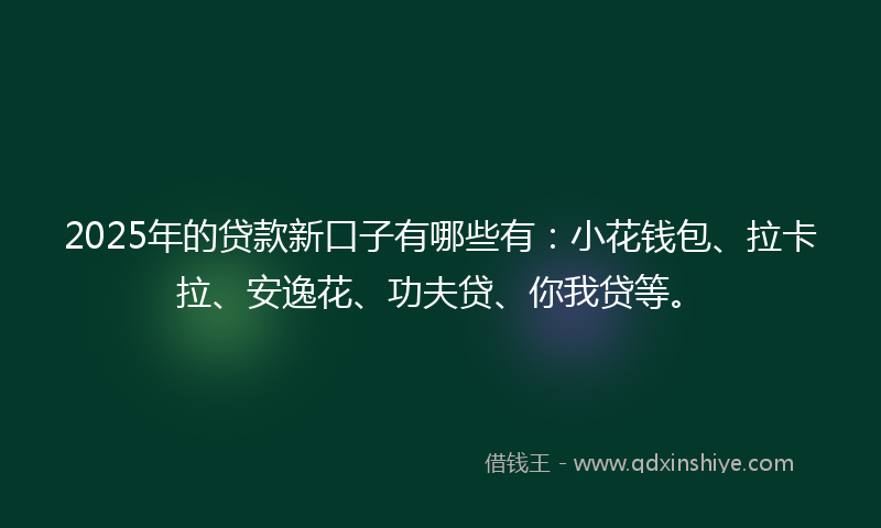 2025年的贷款新口子有哪些有：小花钱包、拉卡拉、安逸花、功夫贷、你我贷等。