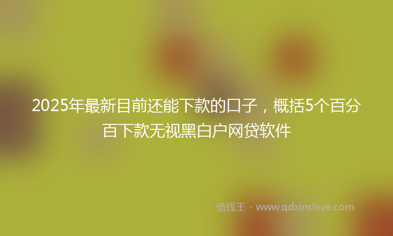 2025年最新目前还能下款的口子，概括5个百分百下款无视黑白户网贷软件