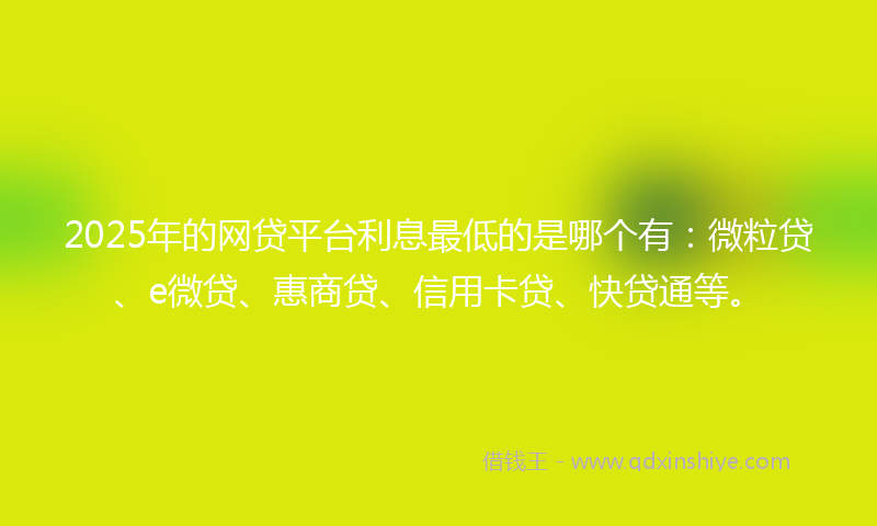 2025年的网贷平台利息最低的是哪个有：微粒贷、e微贷、惠商贷、信用卡贷、快贷通等。
