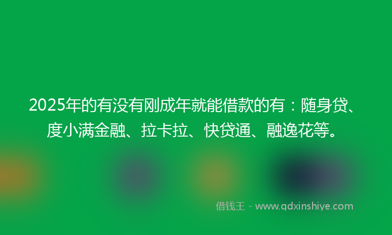 2025年的有没有刚成年就能借款的有：随身贷、度小满金融、拉卡拉、快贷通、融逸花等。