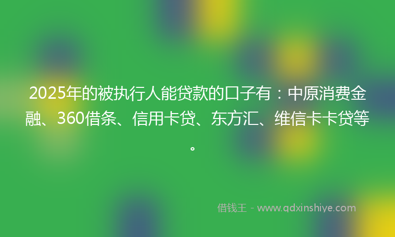2025年的被执行人能贷款的口子有：中原消费金融、360借条、信用卡贷、东方汇、维信卡卡贷等。