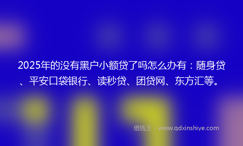 2025年的没有黑户小额贷了吗怎么办有：随身贷、平安口袋银行、读秒贷、团贷网、东方汇等。