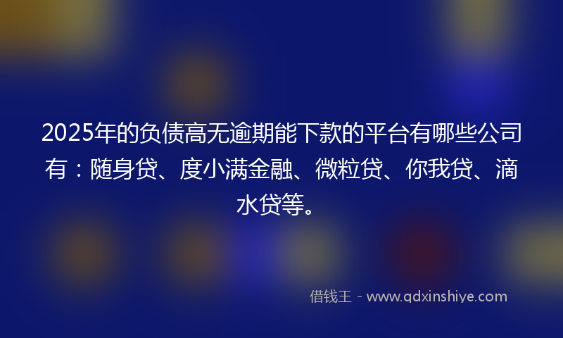 2025年的负债高无逾期能下款的平台有哪些公司有：随身贷、度小满金融、微粒贷、你我贷、滴水贷等。