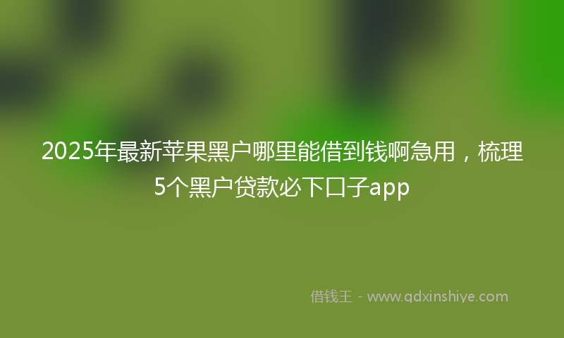 2025年最新苹果黑户哪里能借到钱啊急用，梳理5个黑户贷款必下口子app