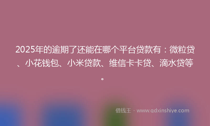 2025年的逾期了还能在哪个平台贷款有：微粒贷、小花钱包、小米贷款、维信卡卡贷、滴水贷等。
