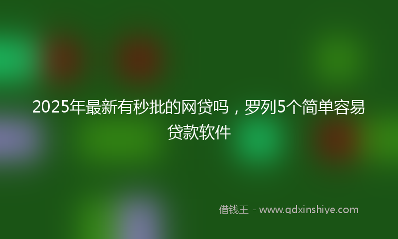 2025年最新有秒批的网贷吗，罗列5个简单容易贷款软件