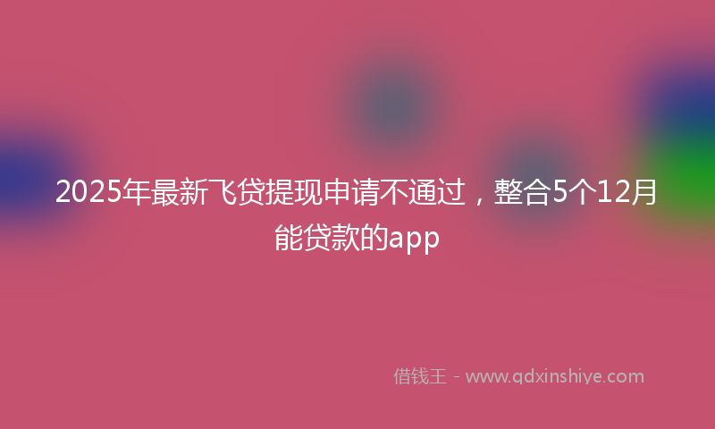 2025年最新飞贷提现申请不通过，整合5个12月能贷款的app