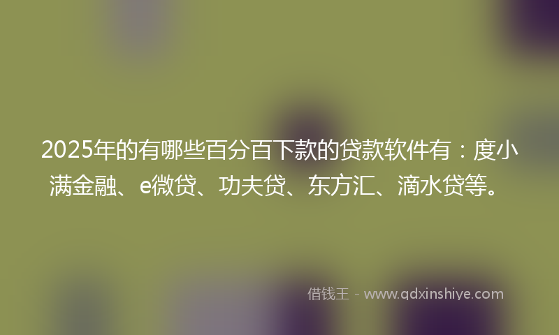 2025年的有哪些百分百下款的贷款软件有：度小满金融、e微贷、功夫贷、东方汇、滴水贷等。