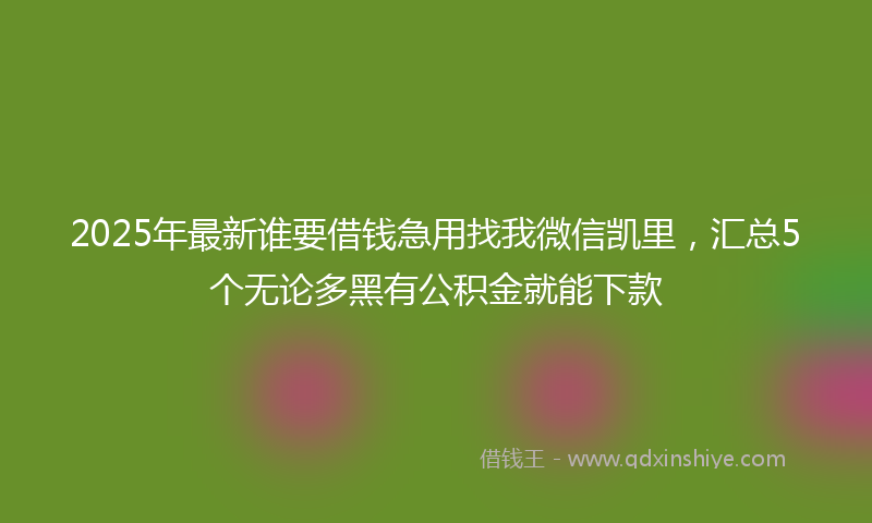 2025年最新谁要借钱急用找我微信凯里，汇总5个无论多黑有公积金就能下款