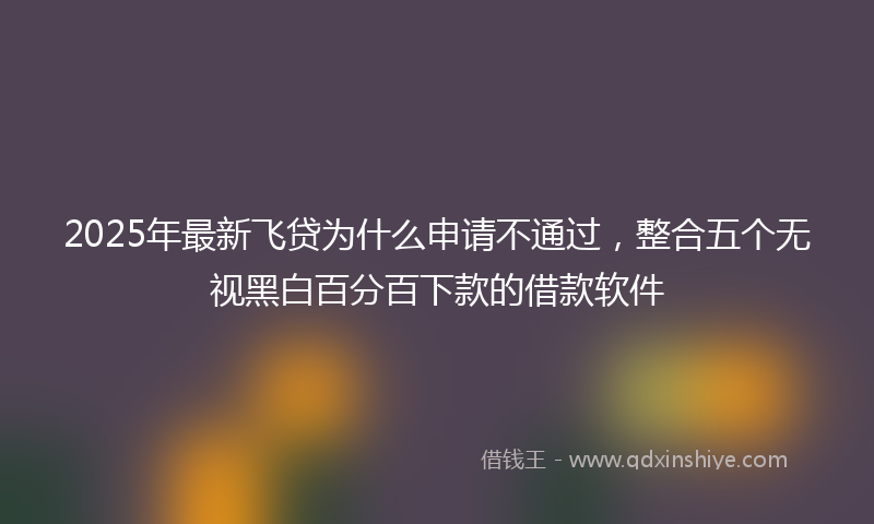 2025年最新飞贷为什么申请不通过，整合五个无视黑白百分百下款的借款软件