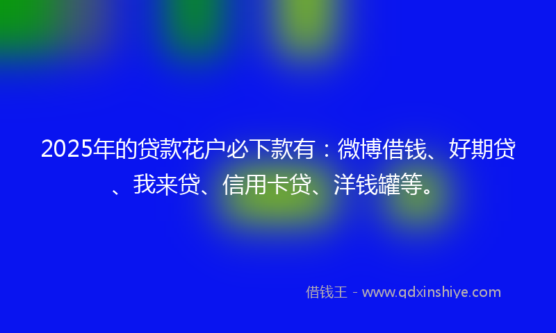 2025年的贷款花户必下款有：微博借钱、好期贷、我来贷、信用卡贷、洋钱罐等。
