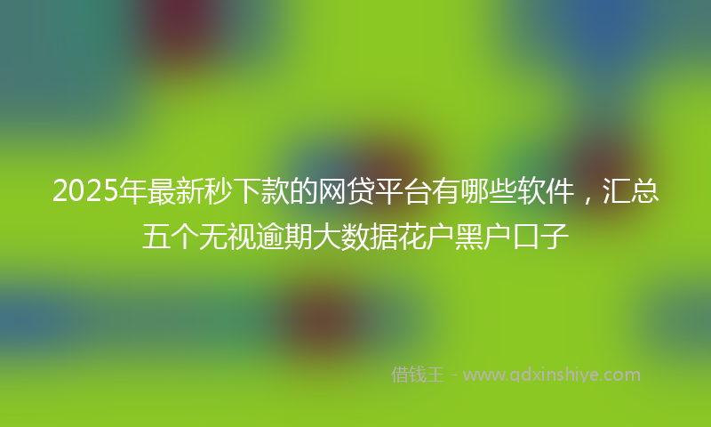 2025年最新秒下款的网贷平台有哪些软件，汇总五个无视逾期大数据花户黑户口子