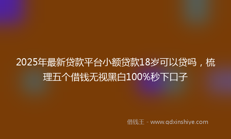 2025年最新贷款平台小额贷款18岁可以贷吗，梳理五个借钱无视黑白100%秒下口子
