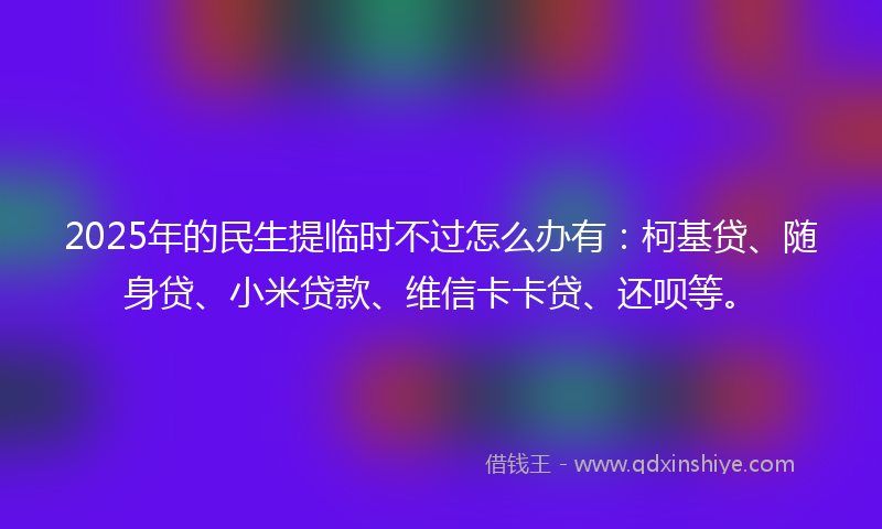 2025年的民生提临时不过怎么办有：柯基贷、随身贷、小米贷款、维信卡卡贷、还呗等。