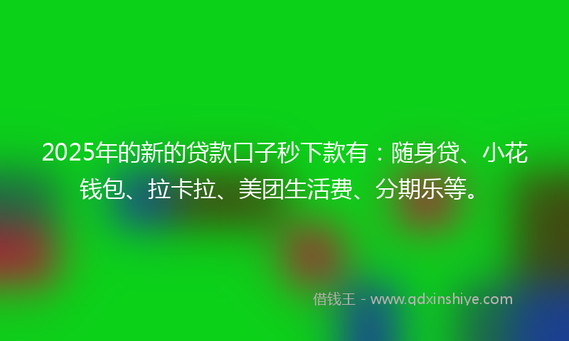2025年的新的贷款口子秒下款有：随身贷、小花钱包、拉卡拉、美团生活费、分期乐等。