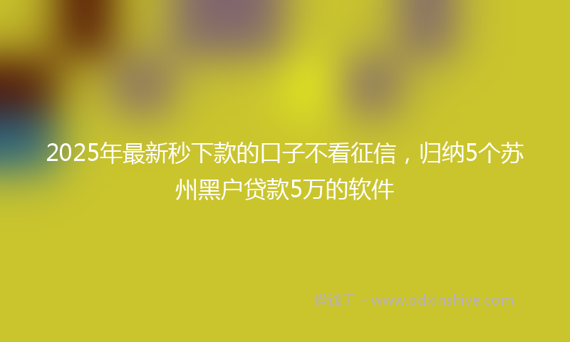 2025年最新秒下款的口子不看征信，归纳5个苏州黑户贷款5万的软件